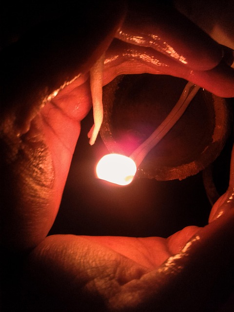 Luz, Paz, Espiritual, Oración, Tranquilo