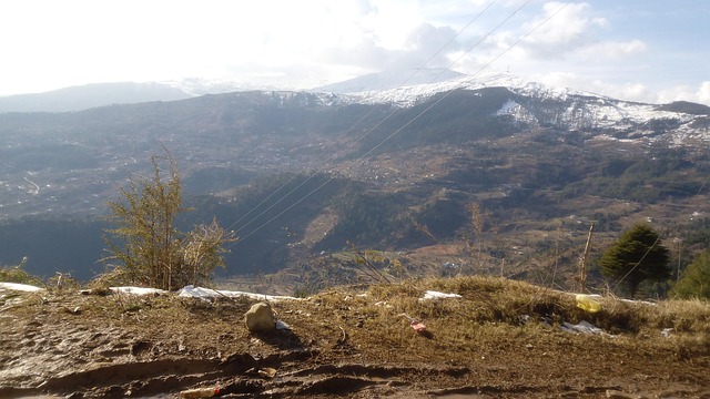 Berge, Wald, Natur