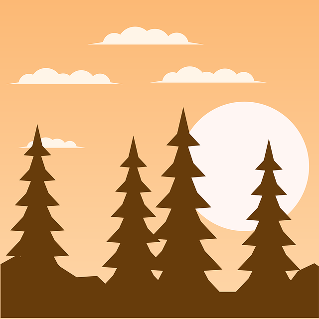 Download free HD stock image of Sunset Forest Free sunset forest silhouette vector