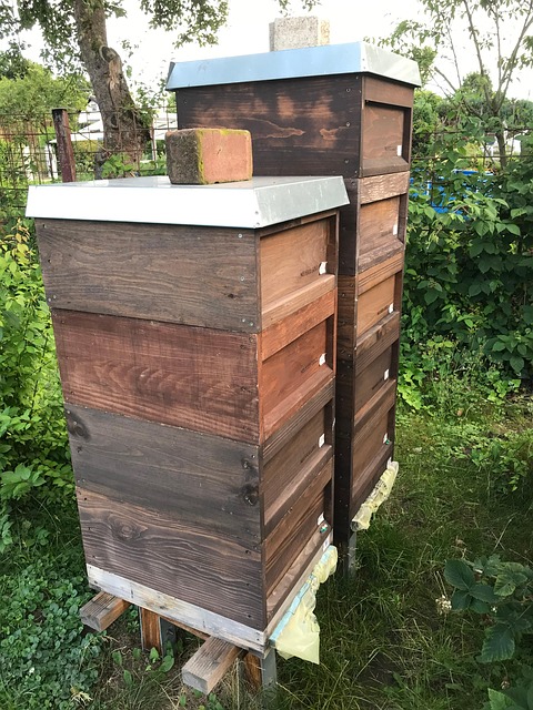 Free Bee Tower Bee photo and picture