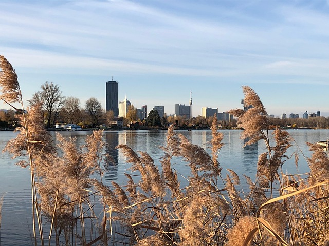 Free City Lake photo and picture