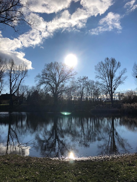 Free Lake Trees photo and picture