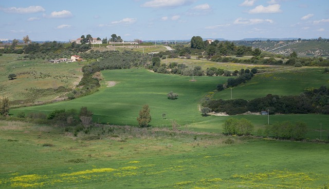 Grün, Andriace, Montalbano Jonico