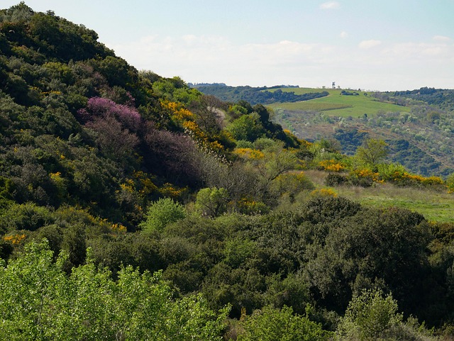 Hill, Senke, Scanzano Jonico, Andriace