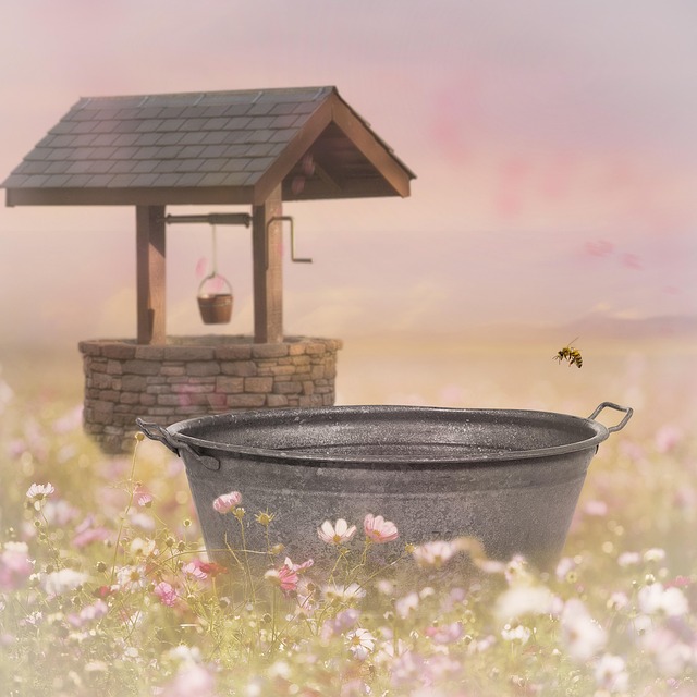 Free Flower Field Wash Basin photo and picture