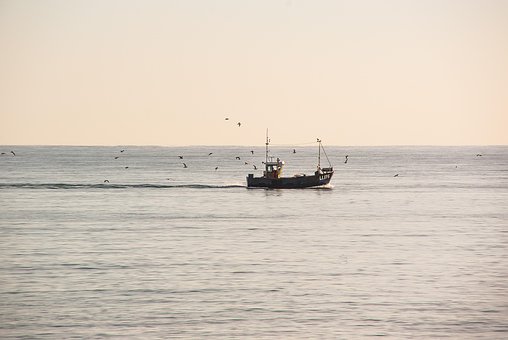 Free Boat Fishing photo and picture