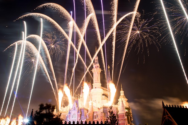 Free Disney Castle photo and picture