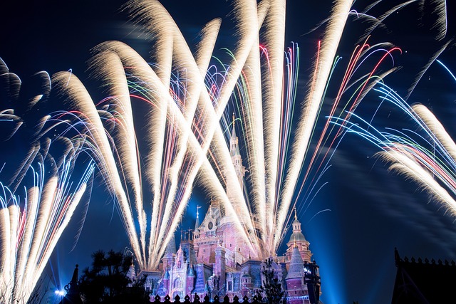 Free Disney Castle photo and picture