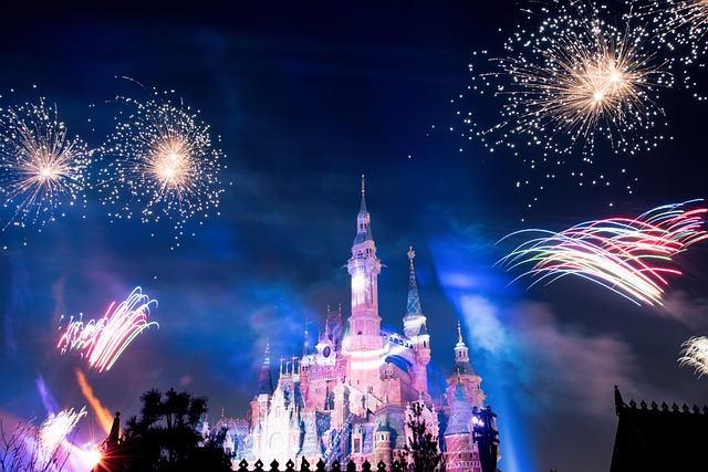Free Disney Castle photo and picture