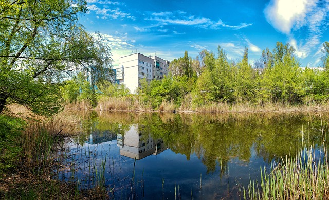 Free River Reeds photo and picture