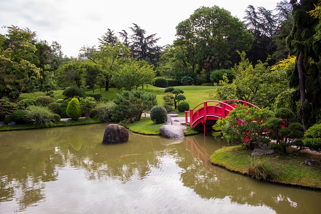 Free Garden Pond photo and picture