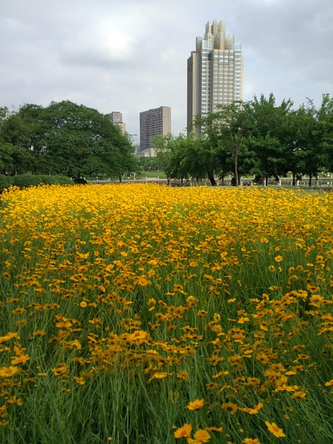 Free China Outdoor photo and picture