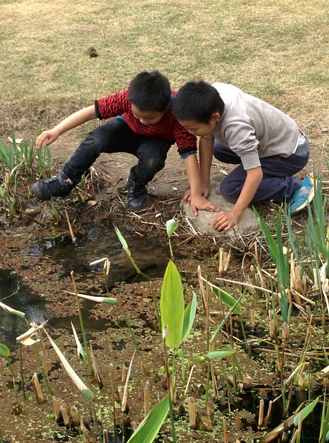 Free China Outdoor photo and picture