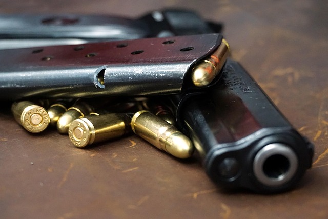 Pistola, Arma, Arma De Fuego, Tt Pistola