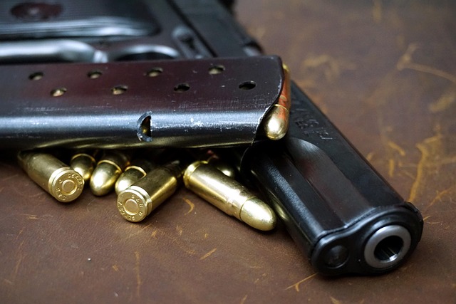 Pistola, Arma, Arma De Fuego, Tt Pistola