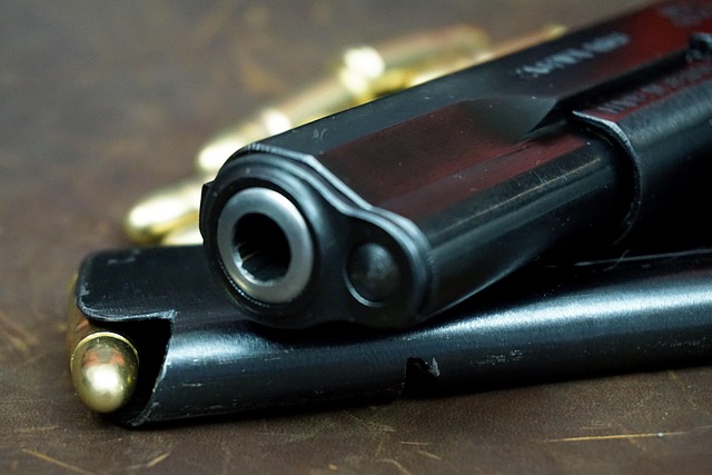 Pistola, Arma, Arma De Fuego, Tt Pistola