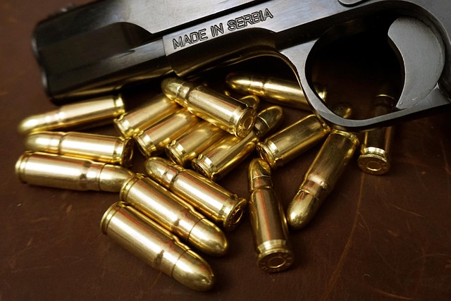 Pistola, Arma, Arma De Fuego, Tt Pistola