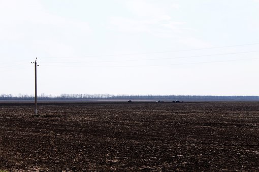 Campo, Tractor, Agricultura, Trabajo