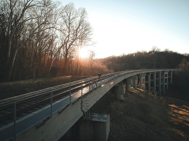 Free Bridge Nature photo and picture