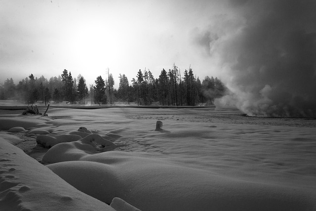 Free Winter Snow photo and picture