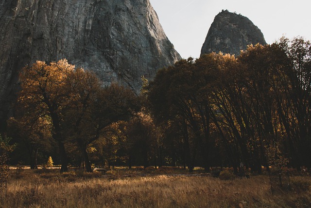Free Nature Yosemite photo and picture