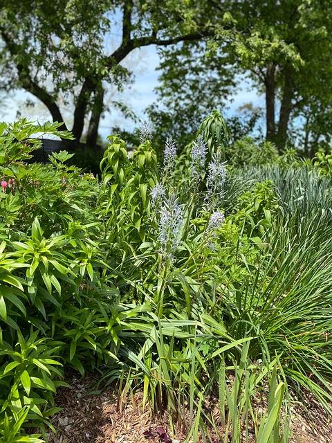 Free Missouri Garden photo and picture