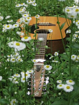Chitară, Flori, Luncă, Câmp, Acustic