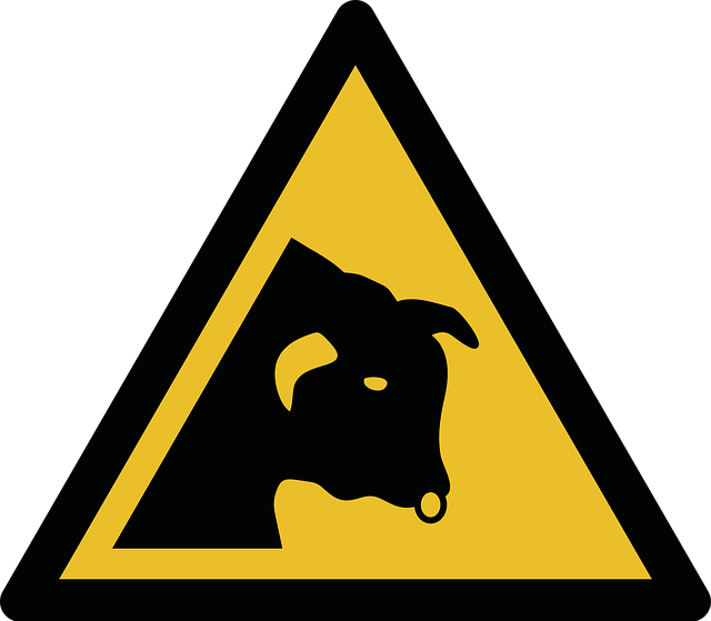 Free Bull Iso 7010 vector and picture