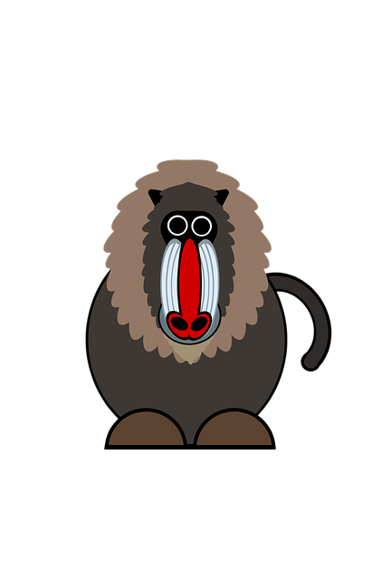 Mandrill, Pavian, Afrika