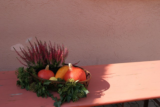 Free Thanksgiving Fall photo and picture