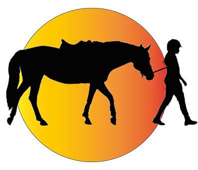 Cavalo, Cavaleiro, Cavalo Nas Rédeas