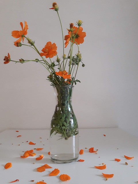 Free Flower Orange photo and picture