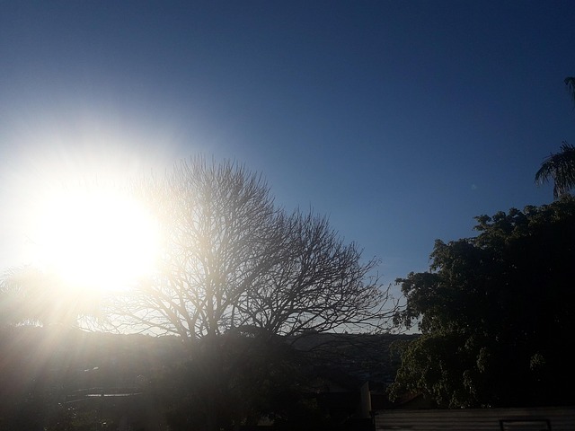 Free Nature Sun photo and picture