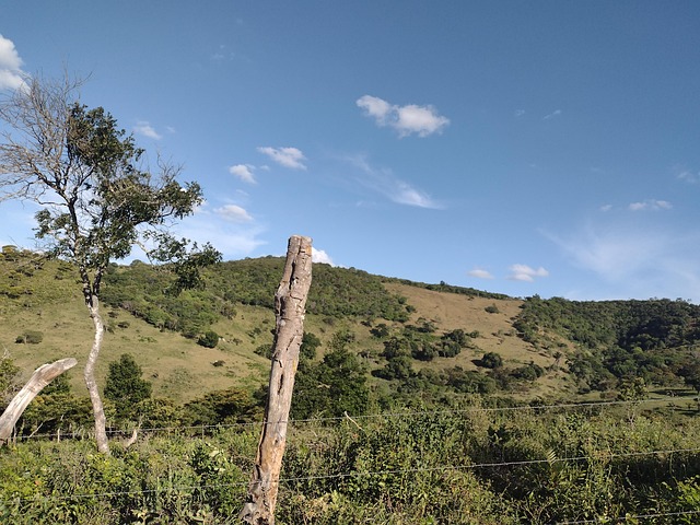 Free Landscape Thick photo and picture