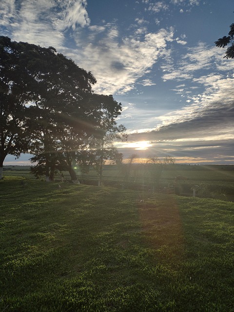 Free Farm Horizon photo and picture