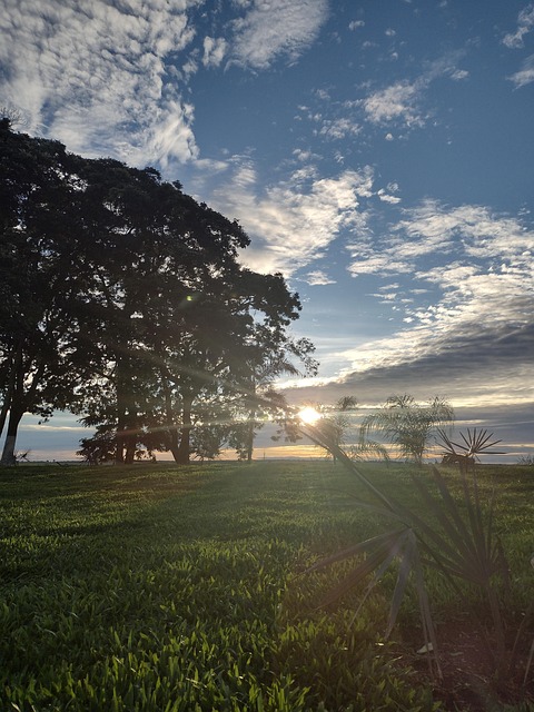 Free Farm Horizon photo and picture