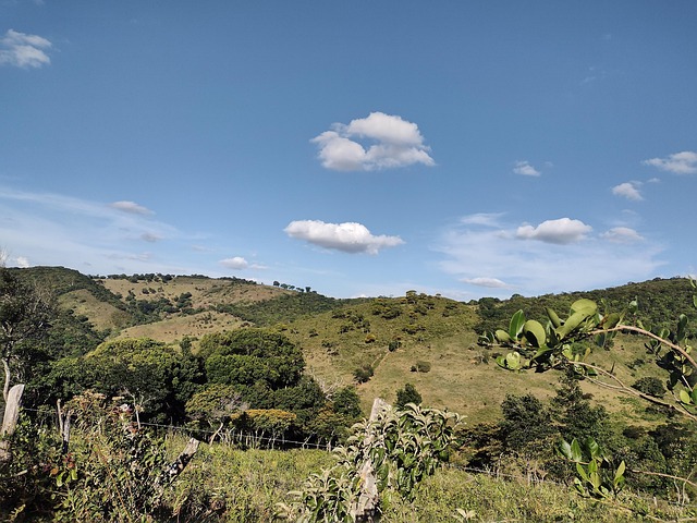 Free Landscape Thick photo and picture