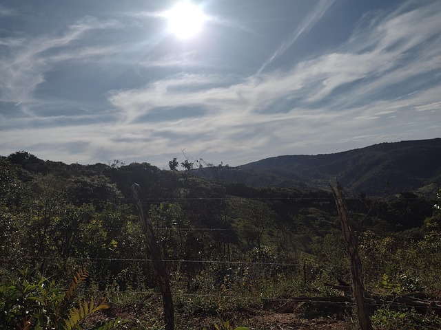 Free Landscape Thick photo and picture