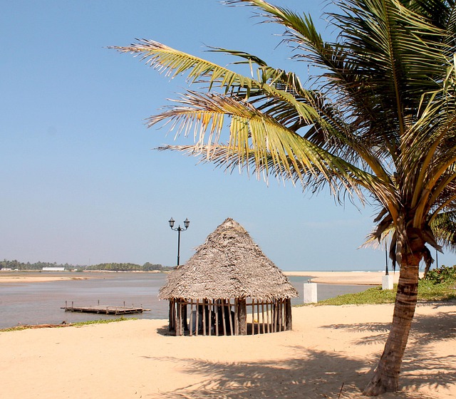 Free Beach India photo and picture