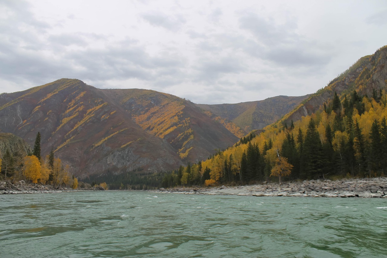 Mountains River Katun - Free photo on Pixabay - Pixabay