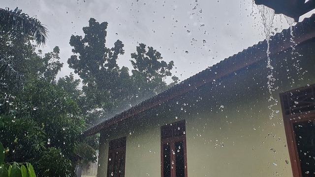 Free Rain Hujan photo and picture