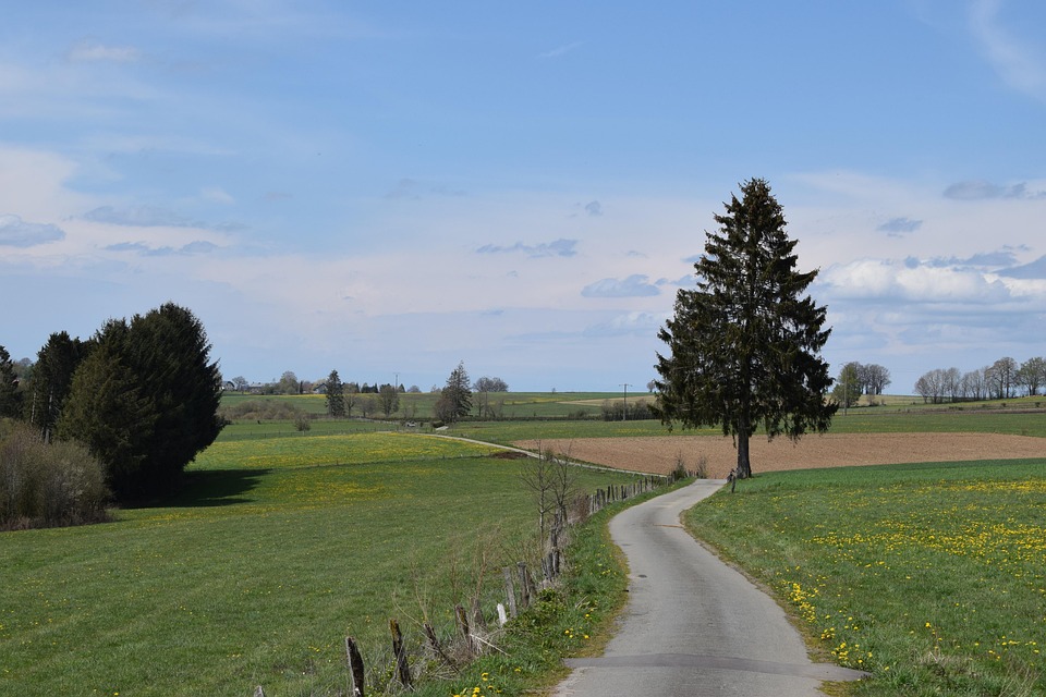 Chemin De Terre Paysage La Nature - Photo gratuite sur Pixabay - Pixabay