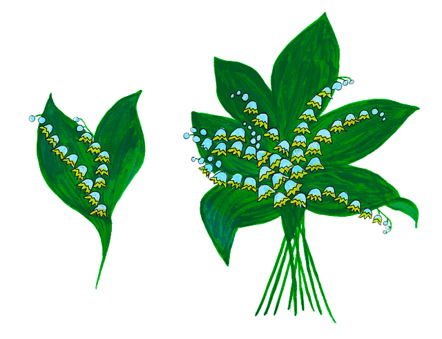 Free lily of the valley spring bledule vector