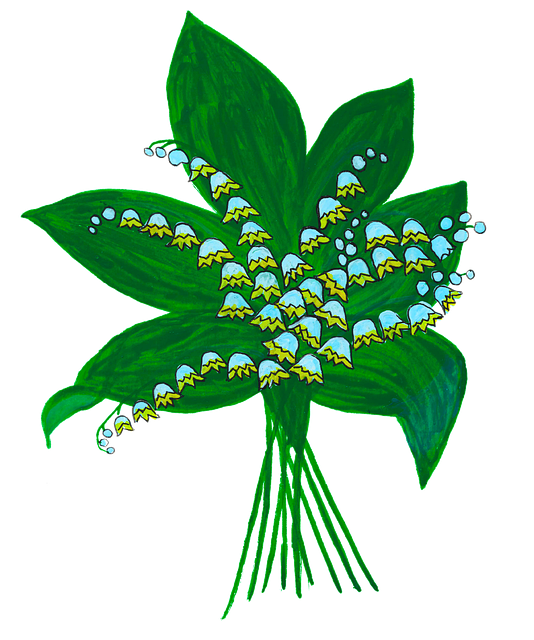 Free lily of the valley spring bledule vector