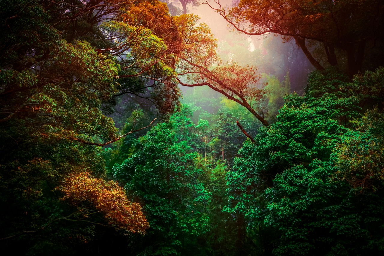 Papel De Parede Para Pc Animacao Da Natureza