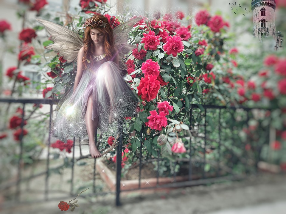 Fantasy Fairytale Roses - Free photo on Pixabay - Pixabay
