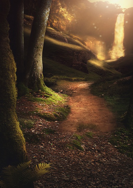 Free forest trail waterfall illustration