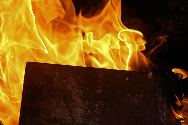 Free Fire Grill photo and picture