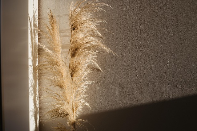 Oscuridad, Luces, Juegos De Luz, Pampa