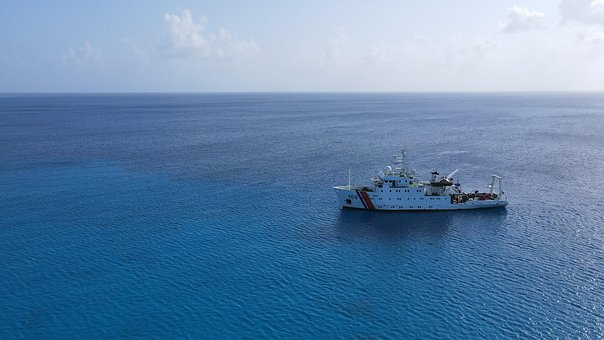 Free Sea Fish photo and picture